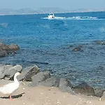 Actis 2 Stelida (Naxos)