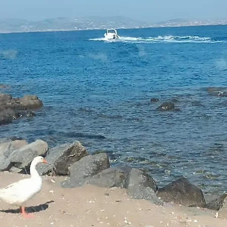 Actis 2 Stelida (Naxos)